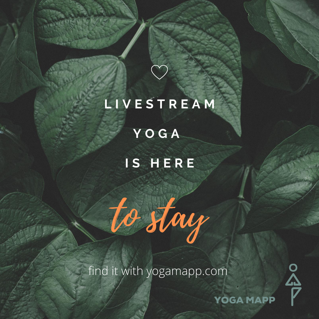 How one yogi during lockdown created a virtual space for us to practice yoga together.